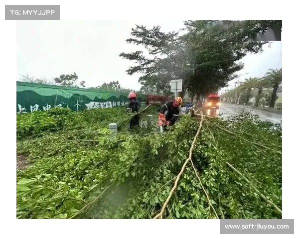 泰州发布台风应急预案加固球场顶棚应对极端天气确保市民安全 泰州发布台风应急预案加固球场顶棚应对极端天气确保市民安全